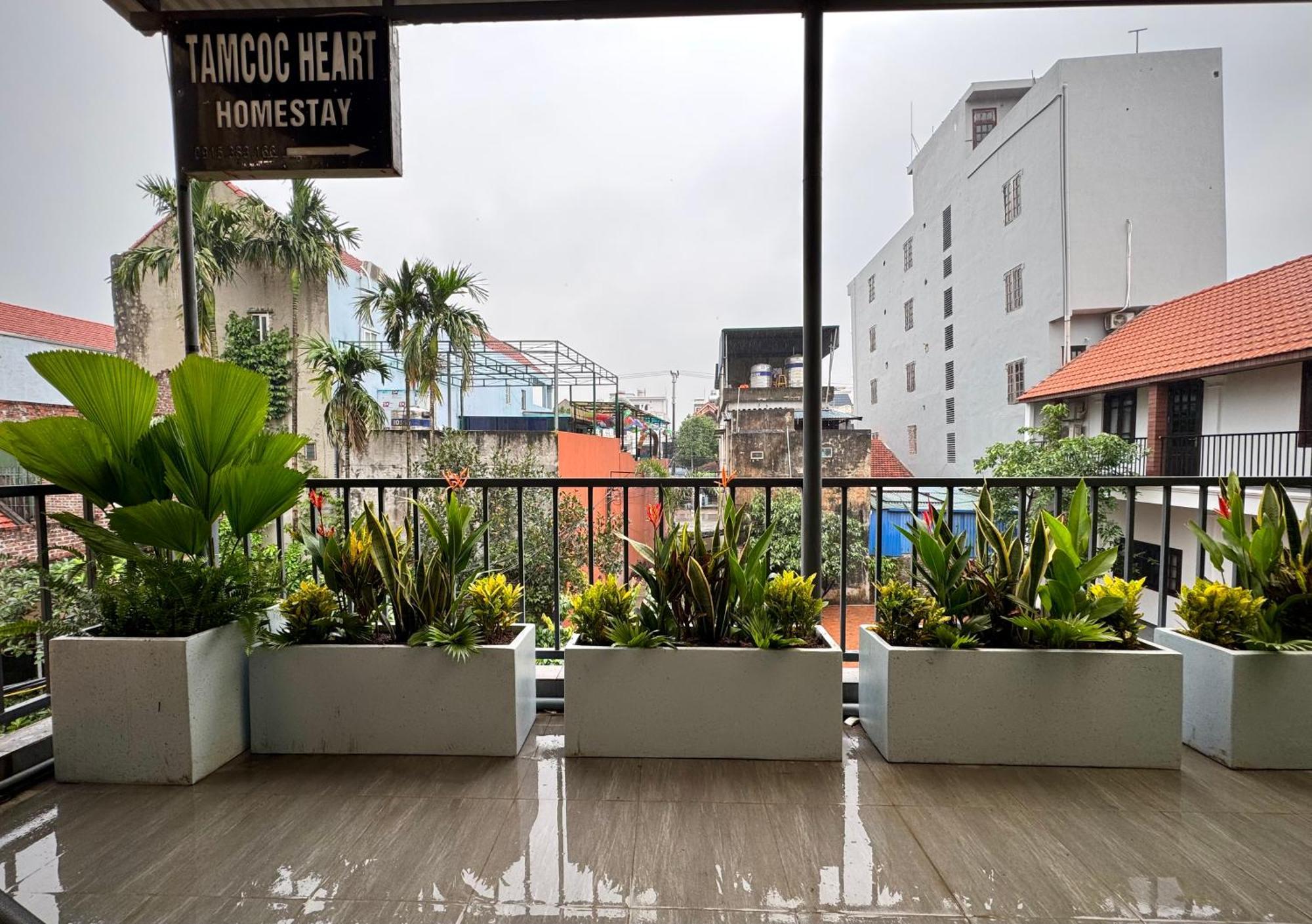 Tam Coc Heart Homestay Ninh Binh Exterior foto